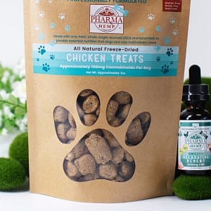 Organic dried dog food